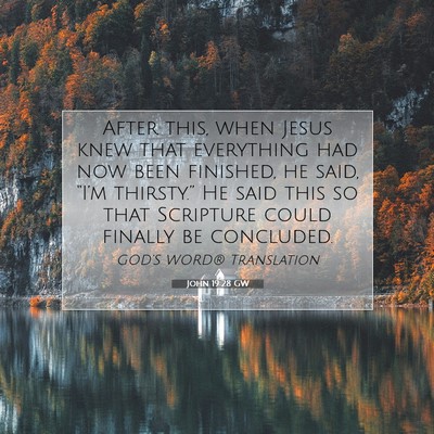 Picture 07 - John 19:28 GW - After this, when Jesus knew that everything had - Bible Verse Picture