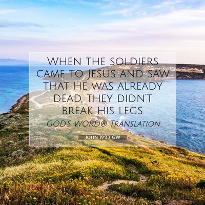 Picture 07 - John 19:33 GW - When the soldiers came to Jesus and saw that he - Bible Verse Picture