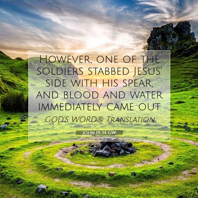 Picture 07 - John 19:34 GW - However, one of the soldiers stabbed Jesus’ - Bible Verse Picture