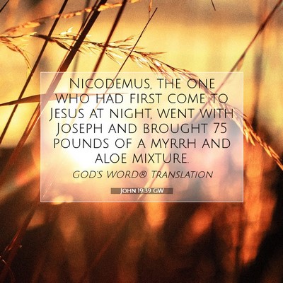 Picture 07 - John 19:39 GW - Nicodemus, the one who had first come to Jesus at - Bible Verse Picture