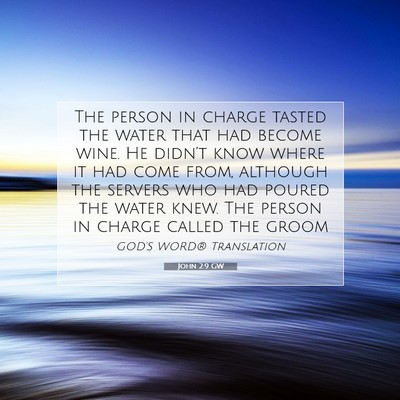 Picture 07 - John 2:9 GW - The person in charge tasted the water that had - Bible Verse Picture