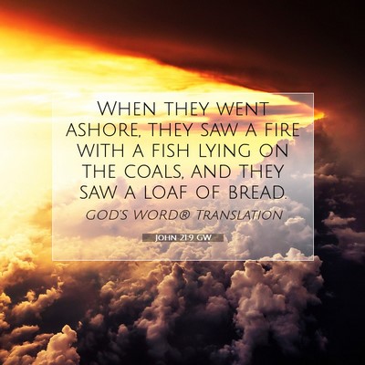 Picture 07 - John 21:9 GW - When they went ashore, they saw a fire with a - Bible Verse Picture