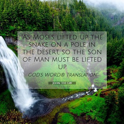 Picture 07 - John 3:14 GW - “As Moses lifted up the snake on a pole in the - Bible Verse Picture