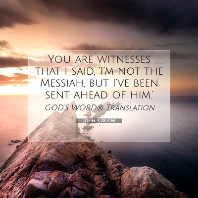 Picture 07 - John 3:28 GW - You are witnesses that I said, ‘I’m not the - Bible Verse Picture