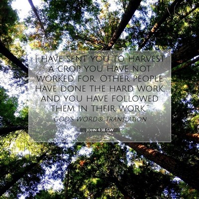 Picture 07 - John 4:38 GW - I have sent you to harvest a crop you have not - Bible Verse Picture