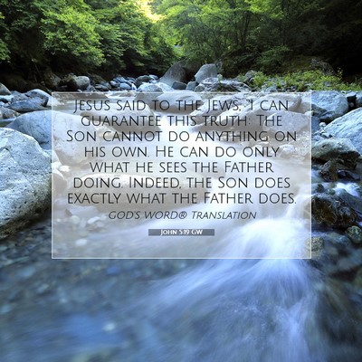 Picture 07 - John 5:19 GW - Jesus said to the Jews, “I can guarantee this - Bible Verse Picture