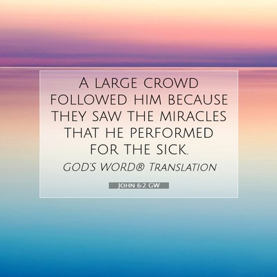 Picture 07 - John 6:2 GW - A large crowd followed him because they saw the - Bible Verse Picture