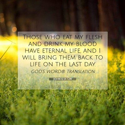 Picture 07 - John 6:54 GW - Those who eat my flesh and drink my blood have - Bible Verse Picture