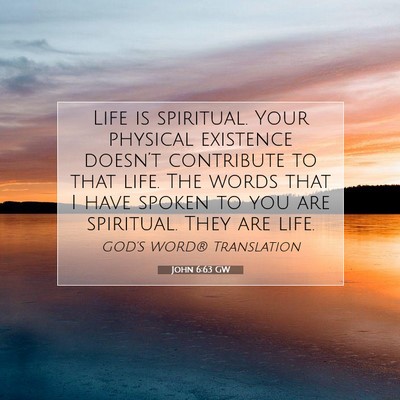 Picture 07 - John 6:63 GW - Life is spiritual. Your physical existence - Bible Verse Picture