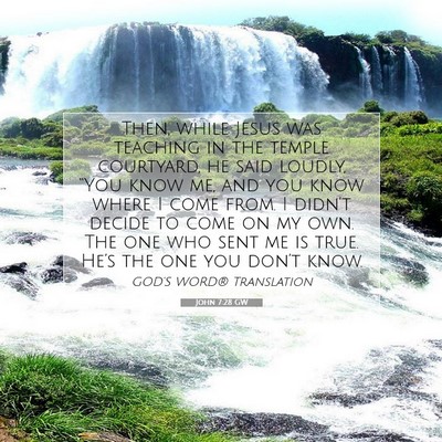 Picture 07 - John 7:28 GW - Then, while Jesus was teaching in the temple - Bible Verse Picture