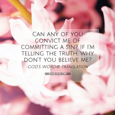 Picture 07 - John 8:46 GW - Can any of you convict me of committing a sin? If - Bible Verse Picture
