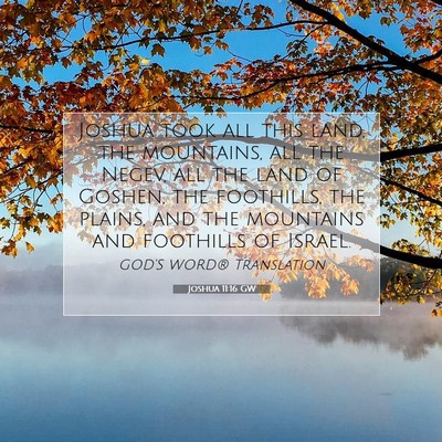 Picture 07 - Joshua 11:16 GW - Joshua took all this land, the mountains, all the - Bible Verse Picture