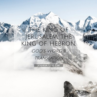 Picture 07 - Joshua 12:10 GW - the king of Jerusalem, the king of - Bible Verse Picture