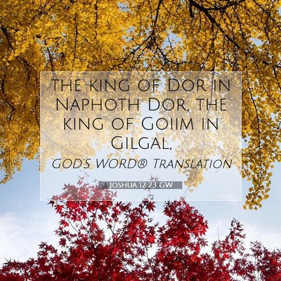 Picture 07 - Joshua 12:23 GW - the king of Dor in Naphoth Dor, the king of Goiim - Bible Verse Picture