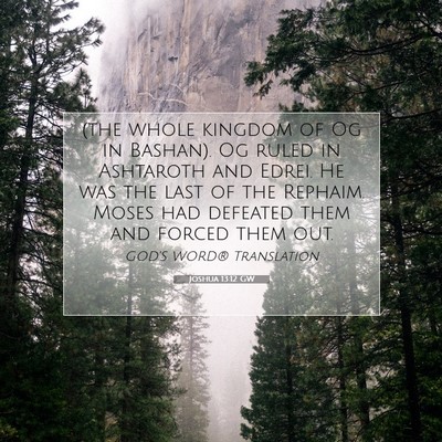 Picture 07 - Joshua 13:12 GW - (the whole kingdom of Og in Bashan). Og ruled in - Bible Verse Picture