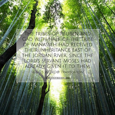 Picture 07 - Joshua 13:8 GW - The tribes of Reuben and Gad with half of the - Bible Verse Picture