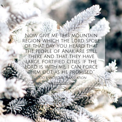 Picture 07 - Joshua 14:12 GW - Now give me this mountain region which the Lord - Bible Verse Picture