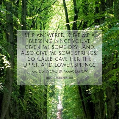Picture 07 - Joshua 15:19 GW - She answered, “Give me a blessing. Since - Bible Verse Picture