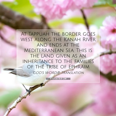 Picture 07 - Joshua 16:8 GW - At Tappuah the border goes west along the Kanah - Bible Verse Picture