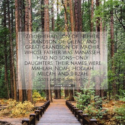 Picture 07 - Joshua 17:3 GW - Zelophehad, son of Hepher, grandson of Gilead, - Bible Verse Picture