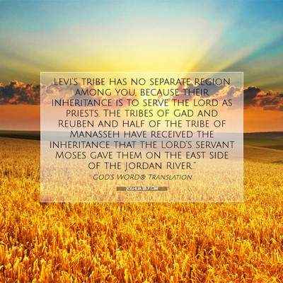 Picture 07 - Joshua 18:7 GW - Levi’s tribe has no separate region among you, - Bible Verse Picture