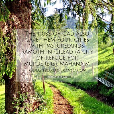 Picture 07 - Joshua 21:38 GW - The tribe of Gad also gave them four cities with - Bible Verse Picture