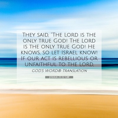 Picture 07 - Joshua 22:22 GW - They said, “The Lord is the only true God! The - Bible Verse Picture