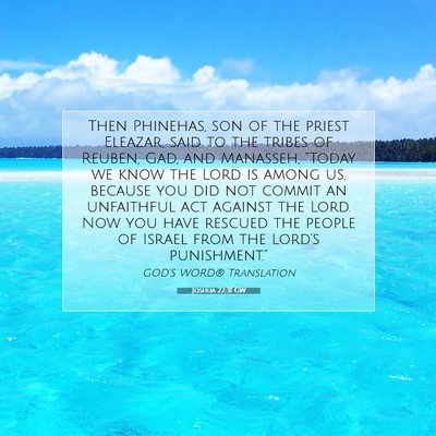 Picture 07 - Joshua 22:31 GW - Then Phinehas, son of the priest Eleazar, said to - Bible Verse Picture