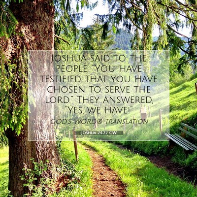 Picture 07 - Joshua 24:22 GW - Joshua said to the people, “You have testified - Bible Verse Picture