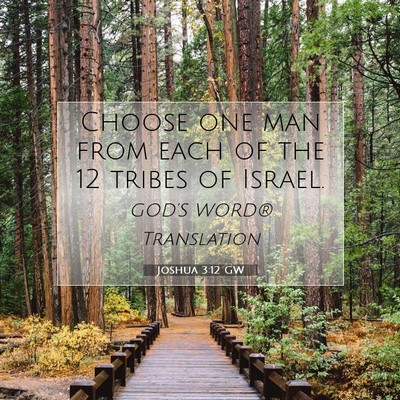 Picture 07 - Joshua 3:12 GW - Choose one man from each of the 12 tribes of - Bible Verse Picture