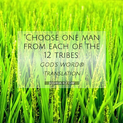Picture 07 - Joshua 4:2 GW - “Choose one man from each of the 12 - Bible Verse Picture
