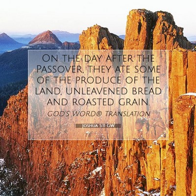 Picture 07 - Joshua 5:11 GW - On the day after the Passover, they ate some of - Bible Verse Picture