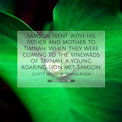Picture 07 - Judges 14:5 GW - Samson went with his father and mother to Timnah. - Bible Verse Picture