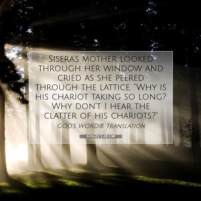 Picture 07 - Judges 5:28 GW - Sisera’s mother looked through her window and - Bible Verse Picture