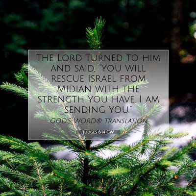 Picture 07 - Judges 6:14 GW - The Lord turned to him and said, “You will - Bible Verse Picture