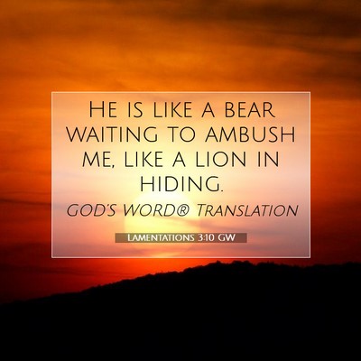 Picture 07 - Lamentations 3:10 GW - He is like a bear waiting to ambush me, like a - Bible Verse Picture