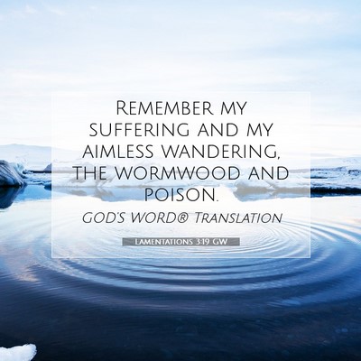 Picture 07 - Lamentations 3:19 GW - Remember my suffering and my aimless wandering, - Bible Verse Picture