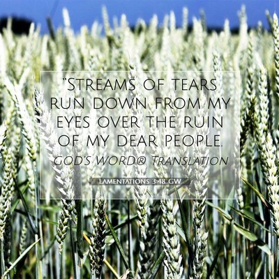 Picture 07 - Lamentations 3:48 GW - “Streams of tears run down from my eyes over - Bible Verse Picture