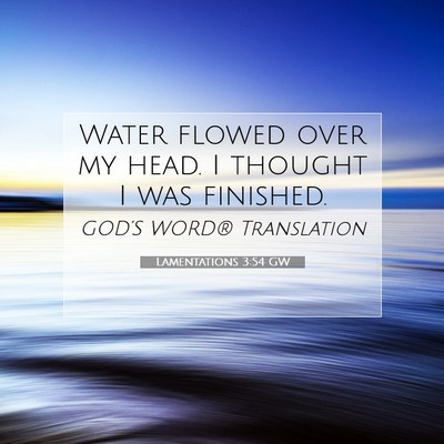Picture 07 - Lamentations 3:54 GW - Water flowed over my head. I thought I was - Bible Verse Picture