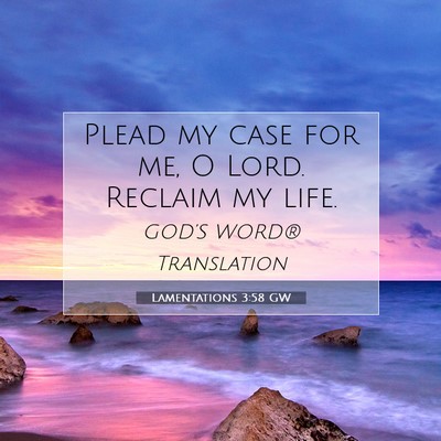 Picture 07 - Lamentations 3:58 GW - Plead my case for me, O Lord. Reclaim my - Bible Verse Picture