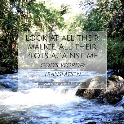 Picture 07 - Lamentations 3:60 GW - Look at all their malice, all their plots against - Bible Verse Picture