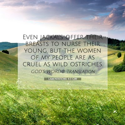 Picture 07 - Lamentations 4:3 GW - Even jackals offer their breasts to nurse their - Bible Verse Picture