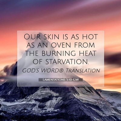Picture 07 - Lamentations 5:10 GW - Our skin is as hot as an oven from the burning - Bible Verse Picture