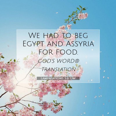 Picture 07 - Lamentations 5:6 GW - We had to beg Egypt and Assyria for - Bible Verse Picture