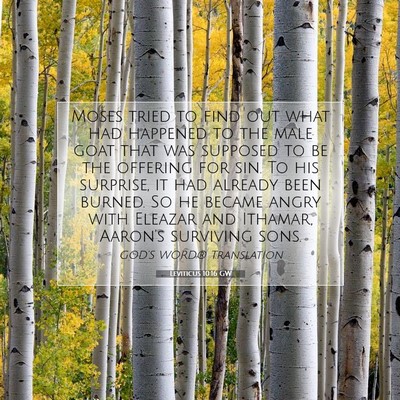 Picture 07 - Leviticus 10:16 GW - Moses tried to find out what had happened to the - Bible Verse Picture