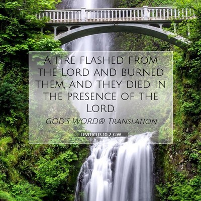 Picture 07 - Leviticus 10:2 GW - A fire flashed from the Lord and burned them, and - Bible Verse Picture