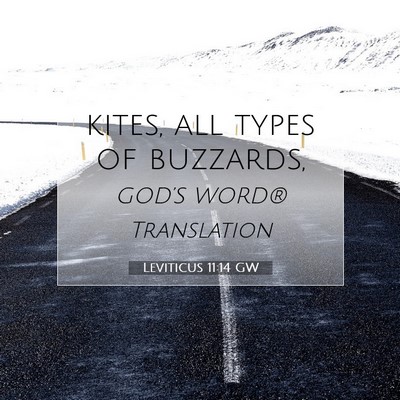 Picture 07 - Leviticus 11:14 GW - kites, all types of - Bible Verse Picture