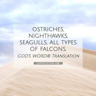 Picture 07 - Leviticus 11:16 GW - ostriches, nighthawks, seagulls, all types of - Bible Verse Picture