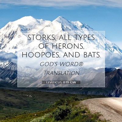 Picture 07 - Leviticus 11:19 GW - storks, all types of herons, hoopoes, and - Bible Verse Picture