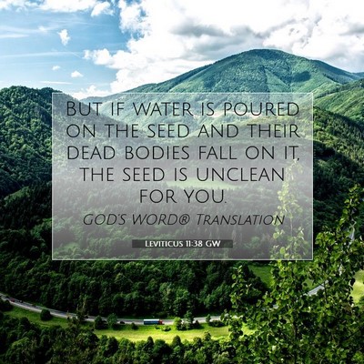 Picture 07 - Leviticus 11:38 GW - But if water is poured on the seed and their dead - Bible Verse Picture